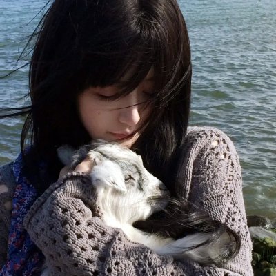 浔风赤子心封面