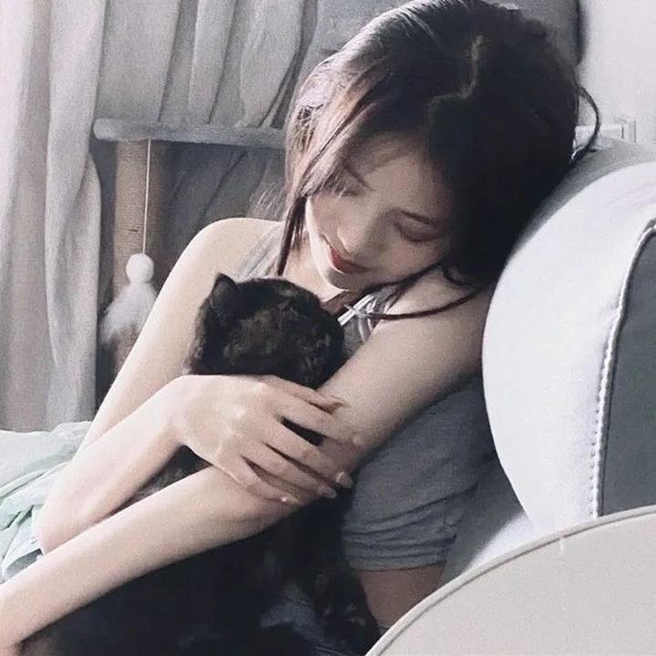 西尔维娅传封面